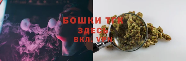 мдпв Гусев