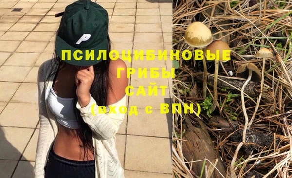 скорость Горнозаводск