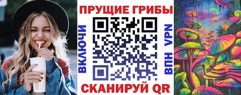 Псилоцибиновые грибы GOLDEN TEACHER  Камызяк 